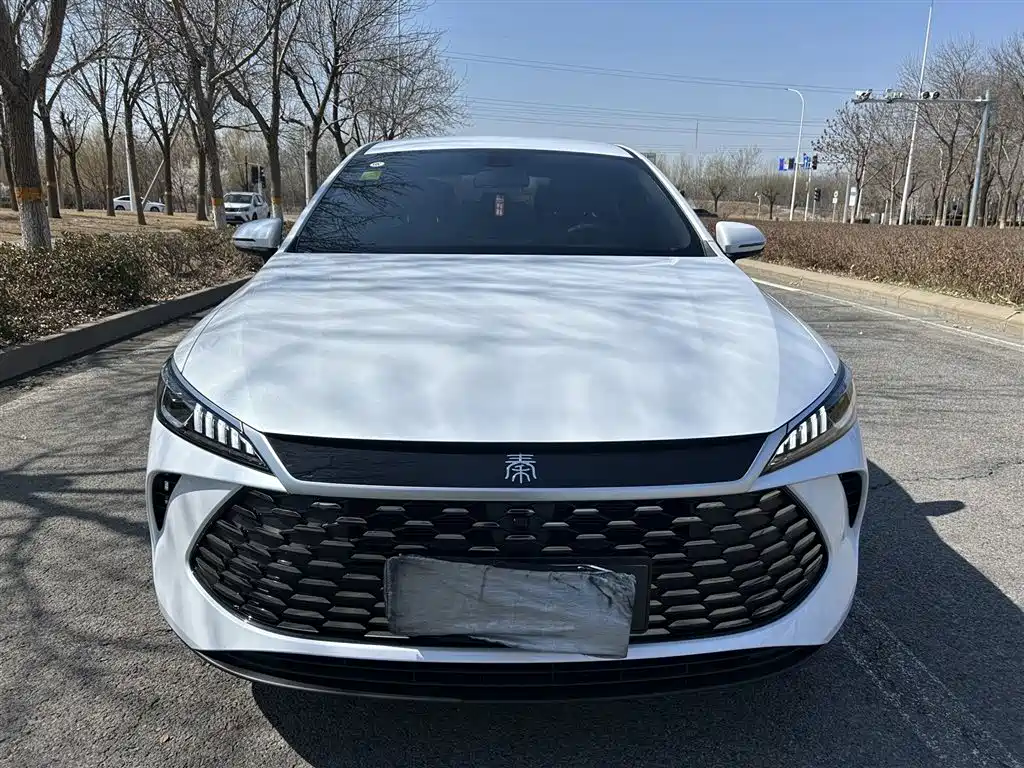 BYD Qin PLUS 2026 DM-i 128KM Progressive фото 2