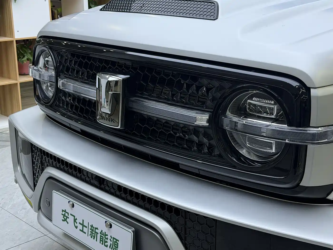 TANK CO CREATION TANK 300