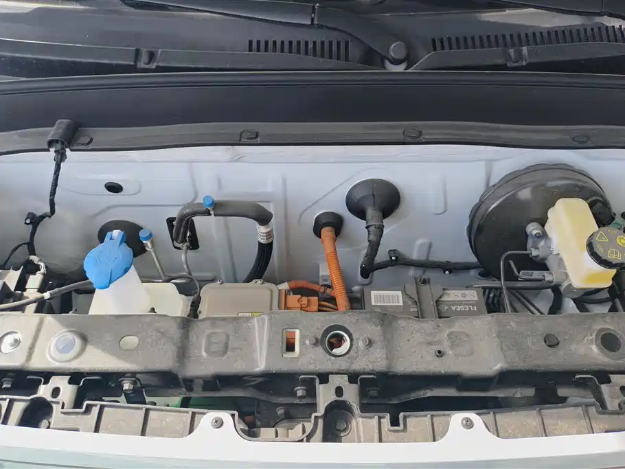 Geely Galaxy Panda 2024 Panda mini 200km Endurance Bear фото 10
