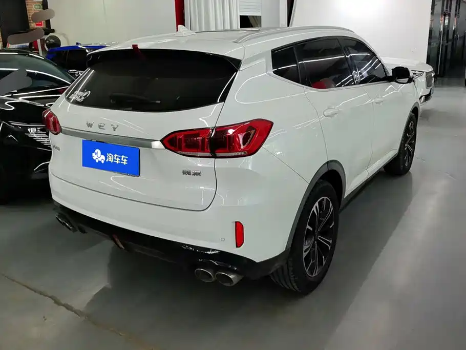 2021 WEY VV6
