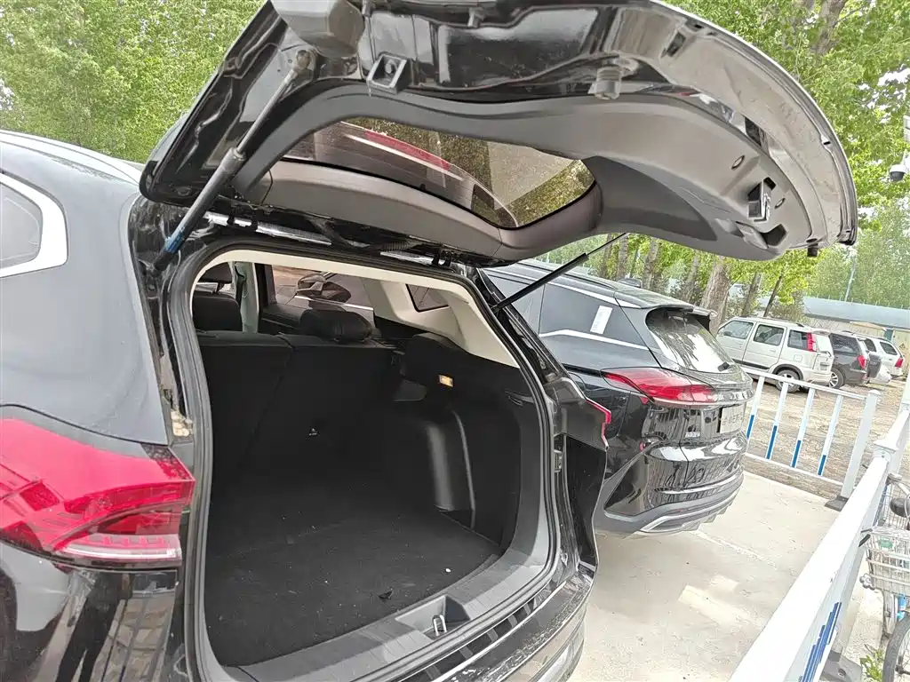 Haval H6 2023 National Trend Edition 1.5T Automatic Champion фото 12
