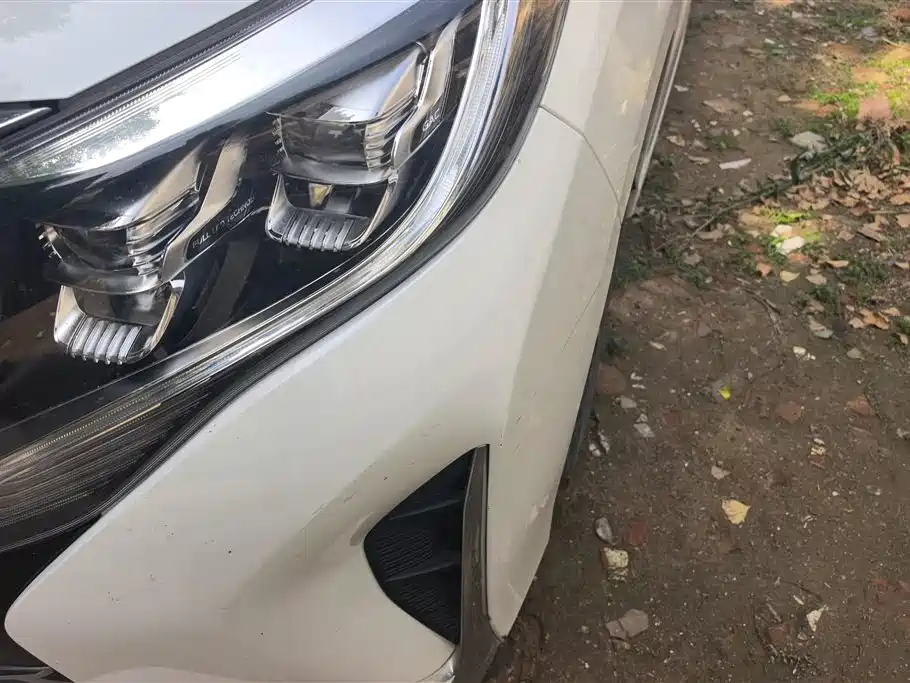 GAC Trumpchi Trumpchi M8 2021 Leading Show Series 390T Luxury Edition фото 5