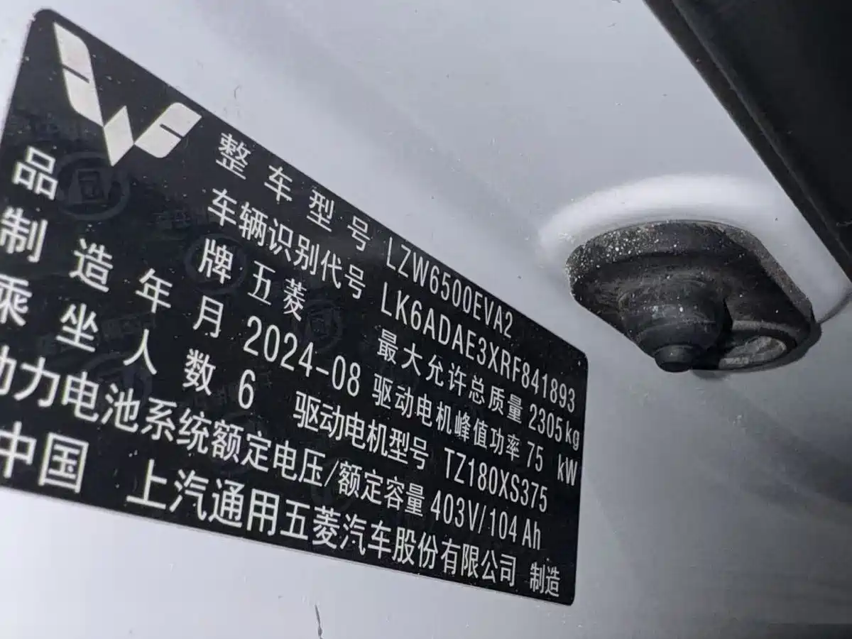 Wuling Motors Wuling Yangguang 2024 2024 300KM Comfort Bus Version 75kW