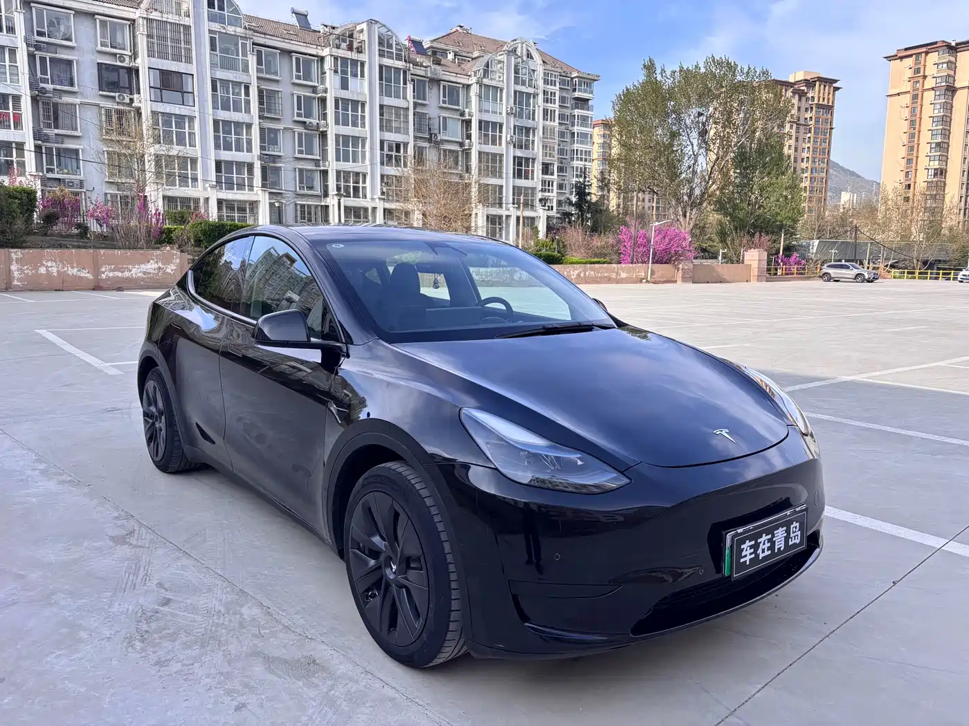 TESLA MODEL Y