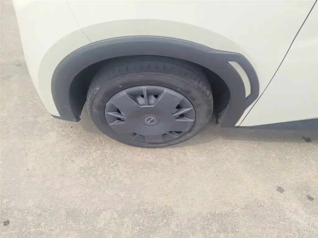 BYD Seagull 2024 Glory Edition 305km Vitality Edition фото 23