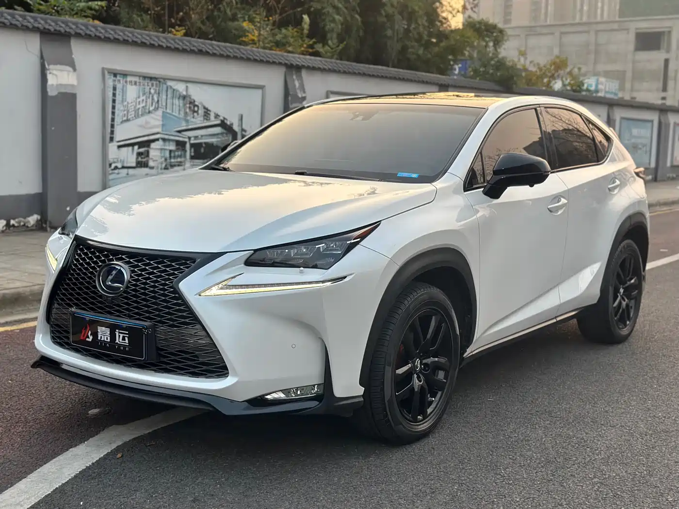 LEXUS NX