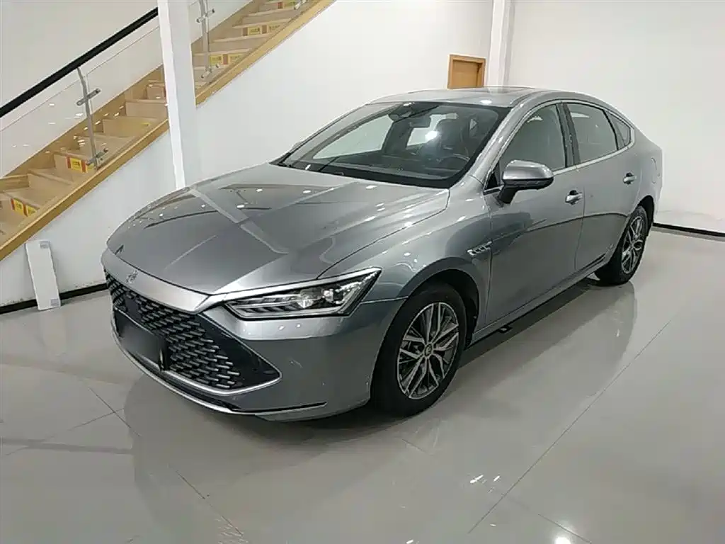 BYD Qin PLUS 2023 Champion Edition DM-i 120KM Excellence фото 2