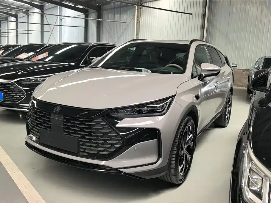 BYD Tang New Energy 2025 DM-i 115KM Flagship