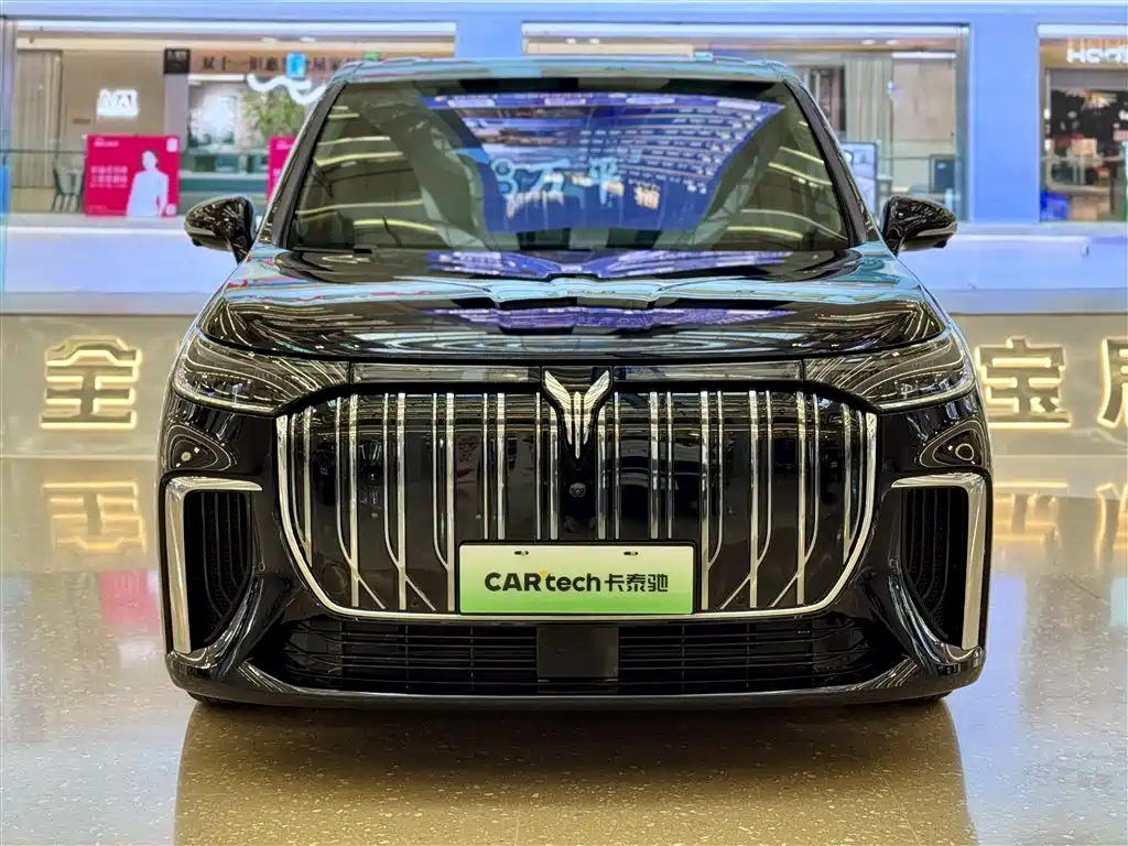 Voyah Auto Voyah Dreamer 2024 PHEV Extended Range Premium Edition фото 2