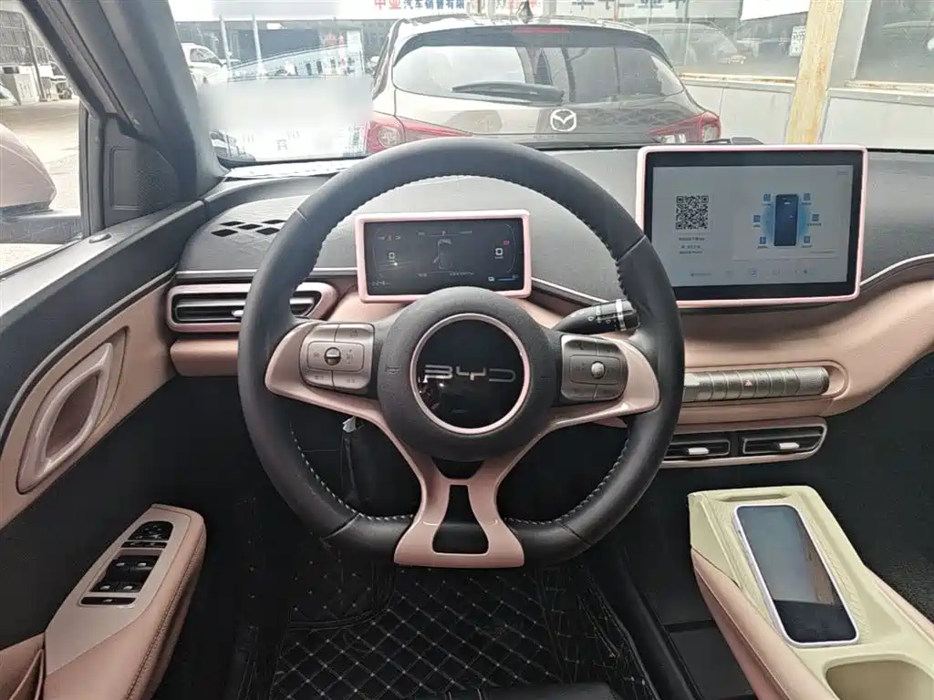 BYD Seagull 2024 Glory Edition 305km Freedom Edition фото 11