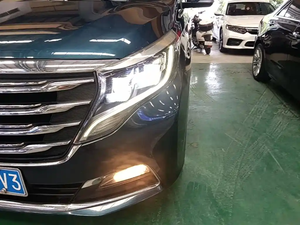GAC Trumpchi Trumpchi M8 2018 320T Exclusive Edition фото 24