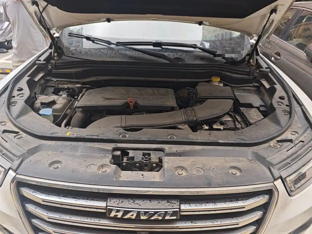 Haval H6 2020 1.5GDIT Automatic Platinum Champion Edition фото 11
