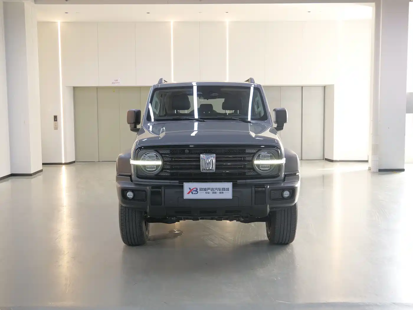 Tank 300 2021 Off-road Version 2.0T Conqueror фото 2