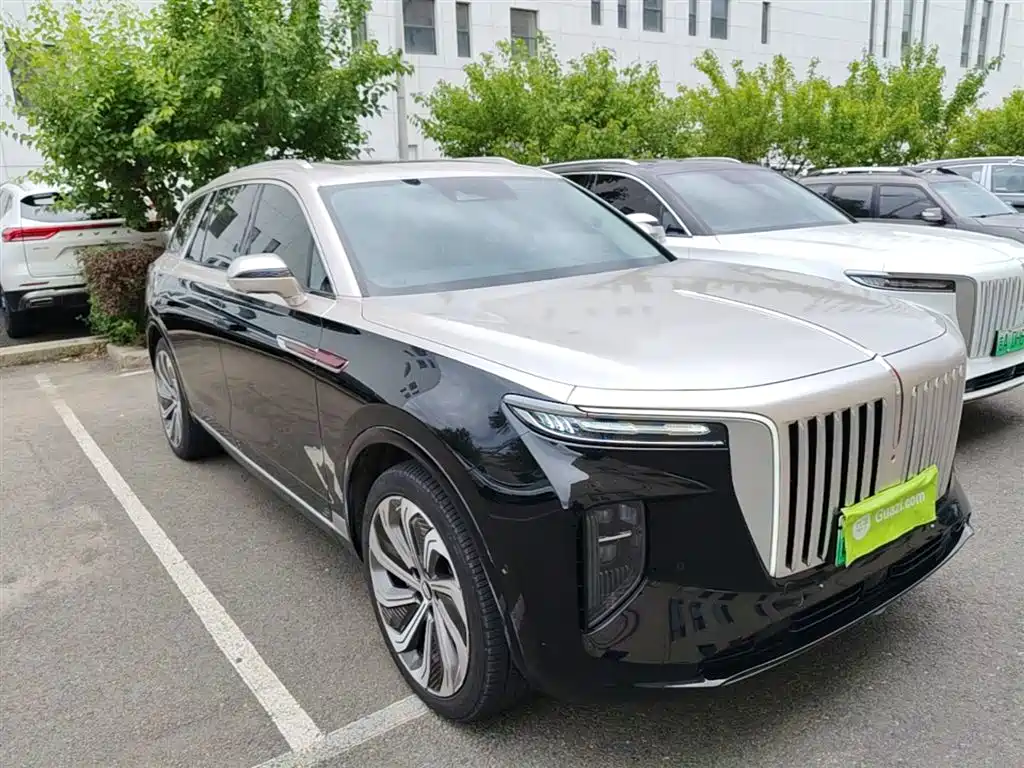 Hongqi E-HS9 2022 660km Qi Ling Edition (4-seater) фото 7