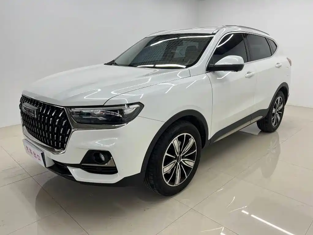  Haval Haval H6 2023 National Trend Edition 1.5T Automatic Champion