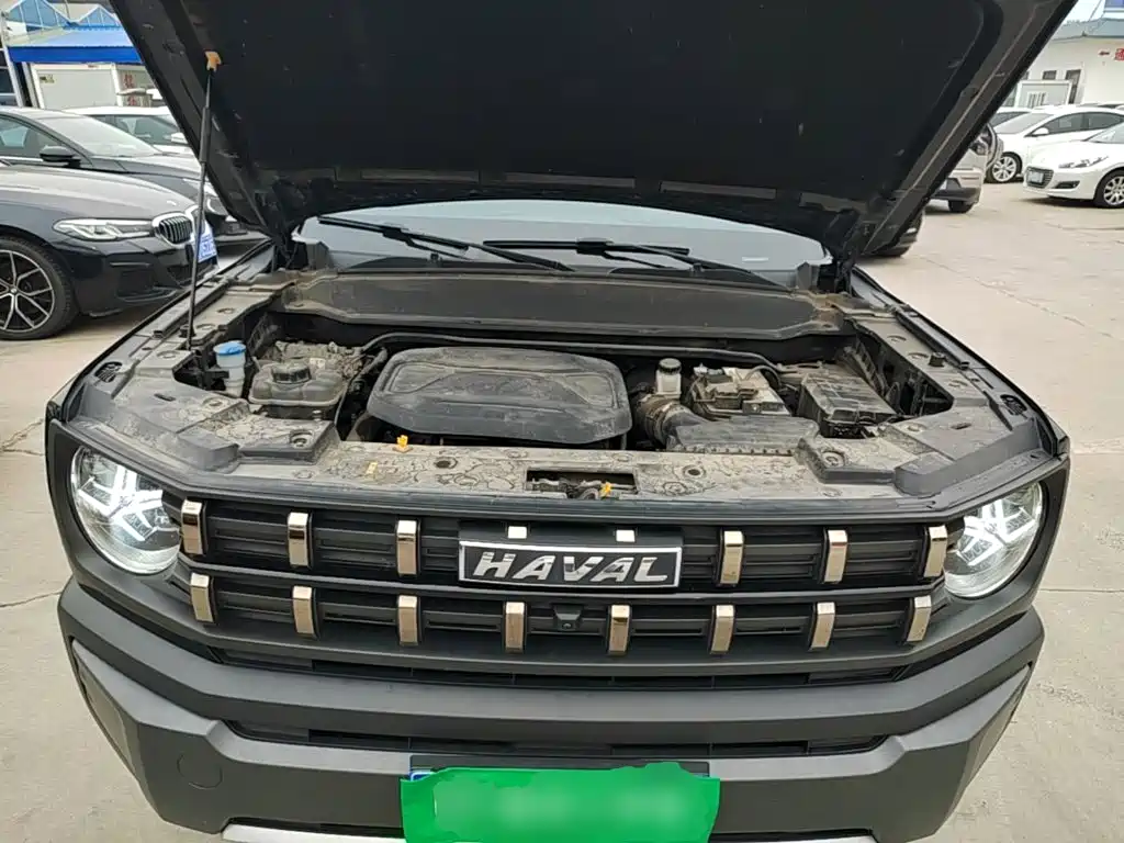 Haval Cool Dog 2022 2022 Model 1.5T DCT FWD Trendy Sound Edition