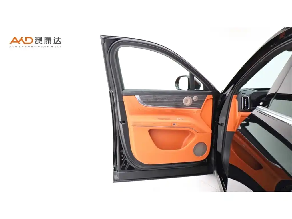 AITO Wenjie AITO M9 2024 Range Extender Max Edition 42kWh 6-seater фото 11