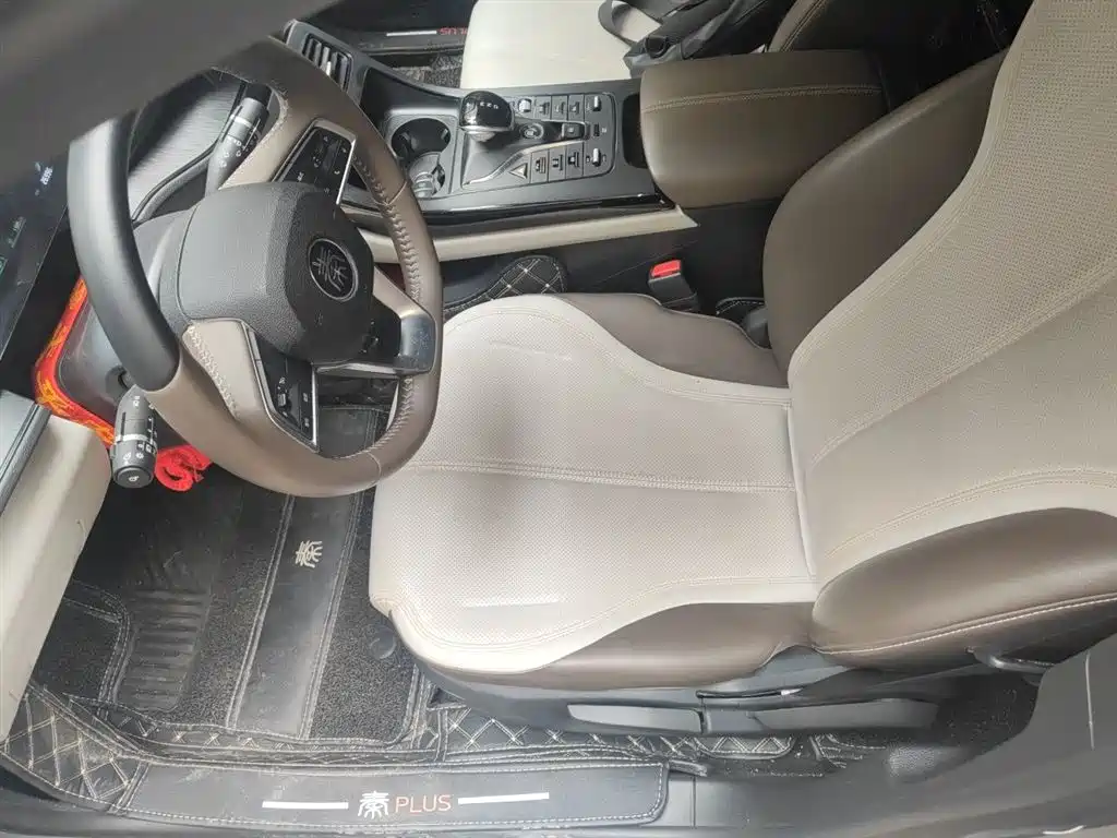 BYD Qin PLUS 2024 Glory Edition DM-i 55KM Leading фото 8