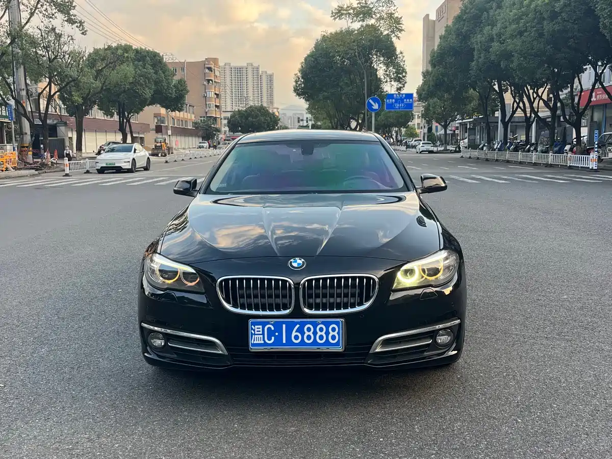 BMW 5 Series 2014 525Li Luxury Design Package фото 2