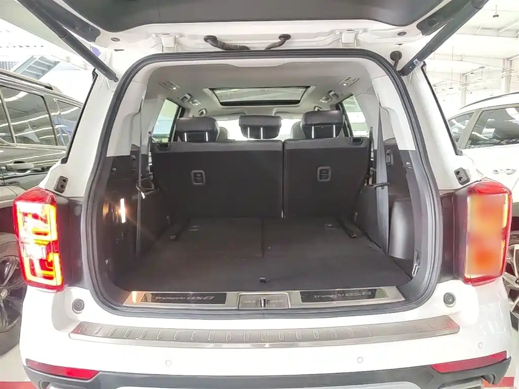 GAC Trumpchi Trumpchi GS8 2017 320T AWD Luxury Smart Connect (7-Seater) фото 19
