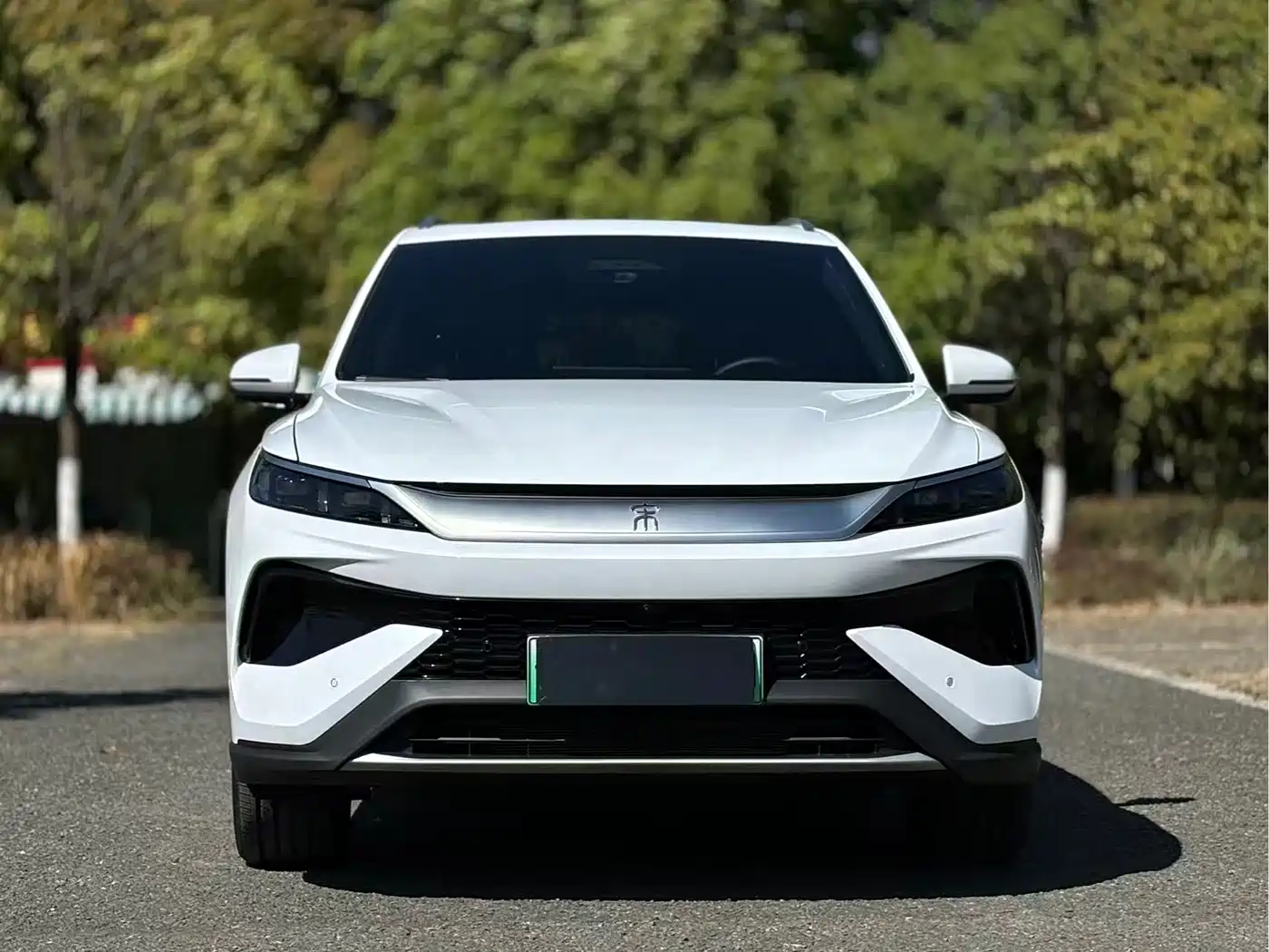 BYD SONGJIANG NEW ENERGY