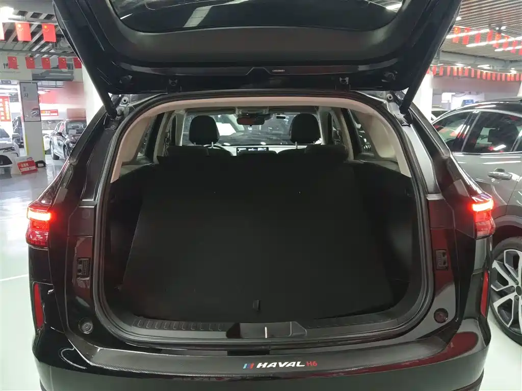 Haval H6 New Energy 2023 DHT-PHEV 55KM Joy Ride Edition фото 15