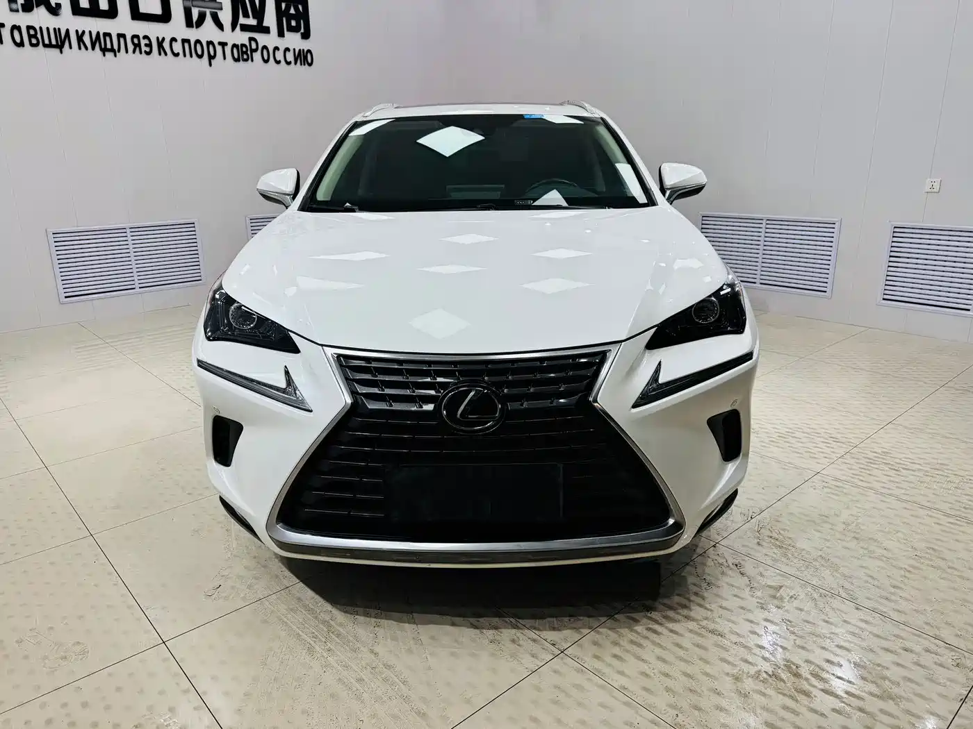 LEXUS NX