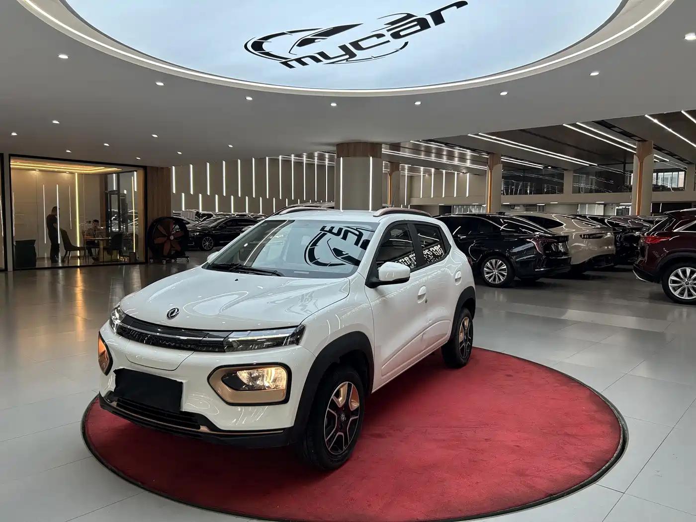 Dongfeng Yipai Nano BOX 2024 2022 Wind Chaser Edition 351KM Advanced
