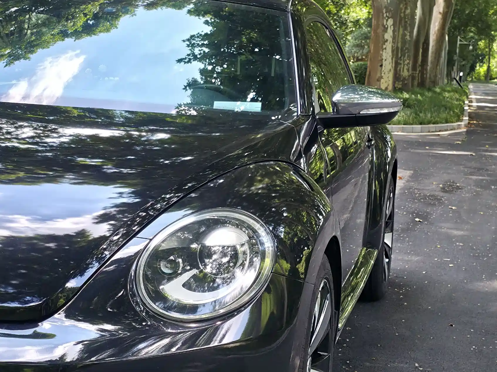 Photo 10 - Volkswagen Beetle