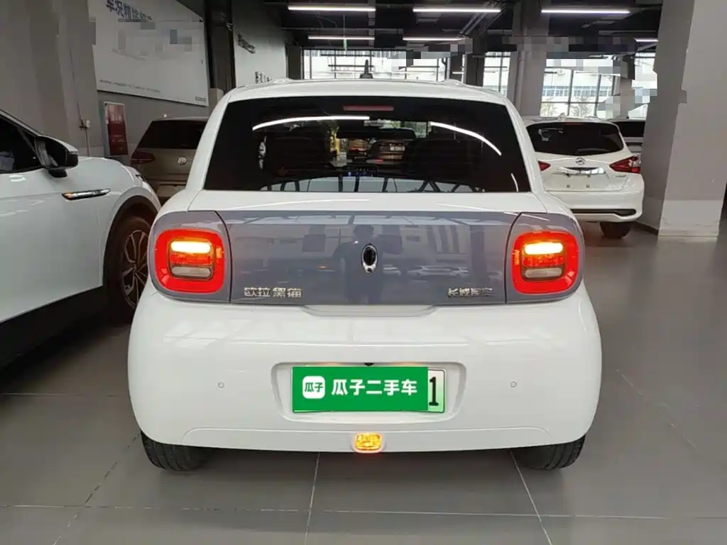 Ora Black Cat 2021 2021 351km Luxury Model