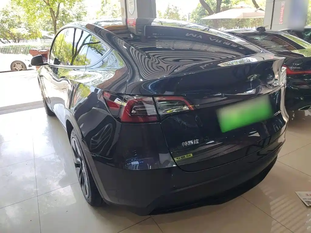 Tesla Model Y 2024 Rear-Wheel Drive Version 5