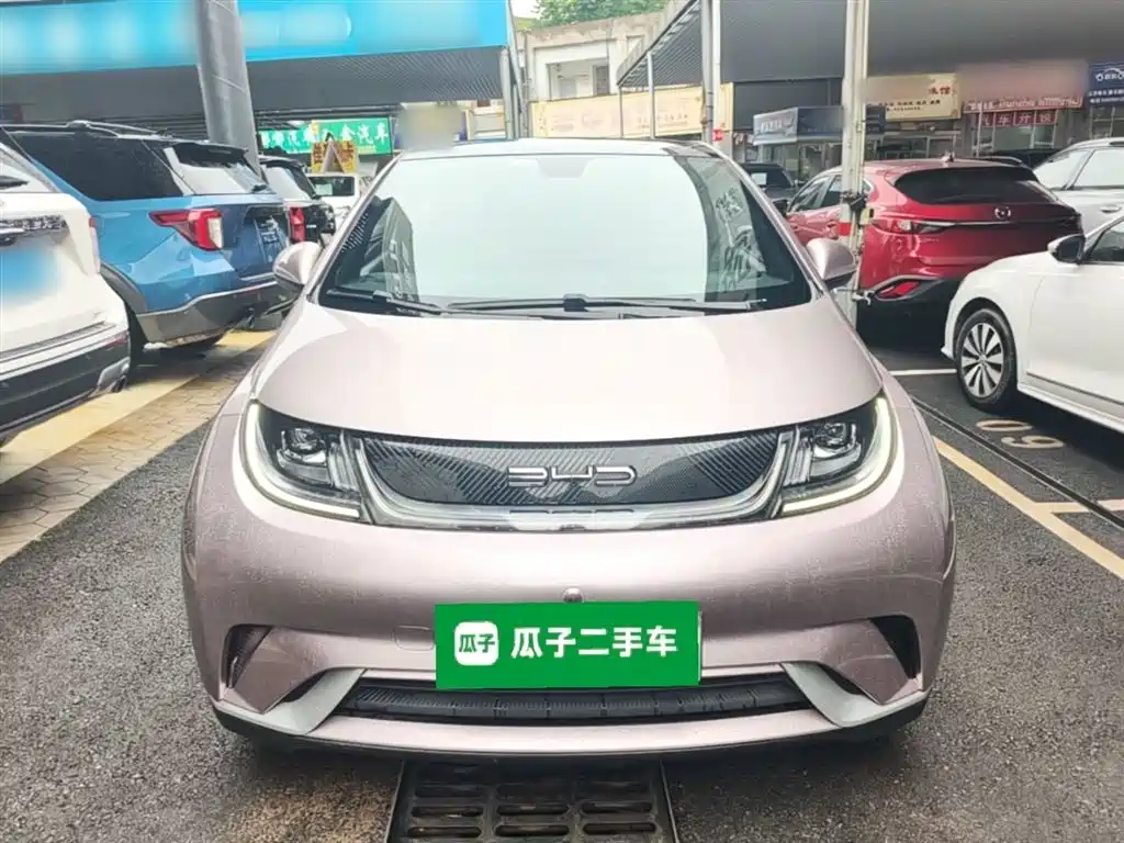 BYD Dolphin 2021 Model 405km Fashion Edition фото 3