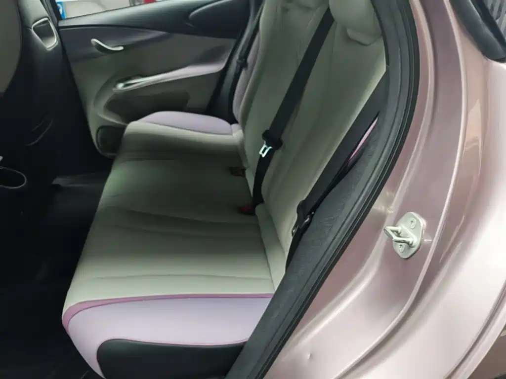 BYD Dolphin 2021 Model 405km Fashion Edition фото 17