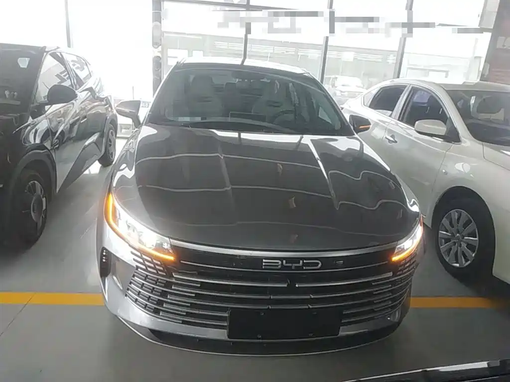 BYD Destroyer 05 2024 Glory Edition DM-i 55KM Luxury фото 3