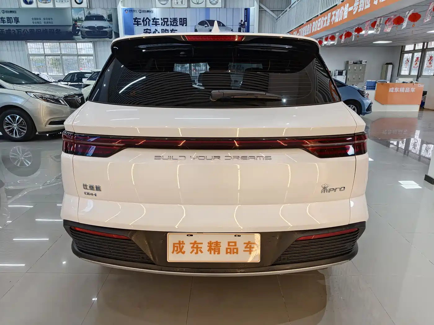 BYD SONGJIANG NEW ENERGY
