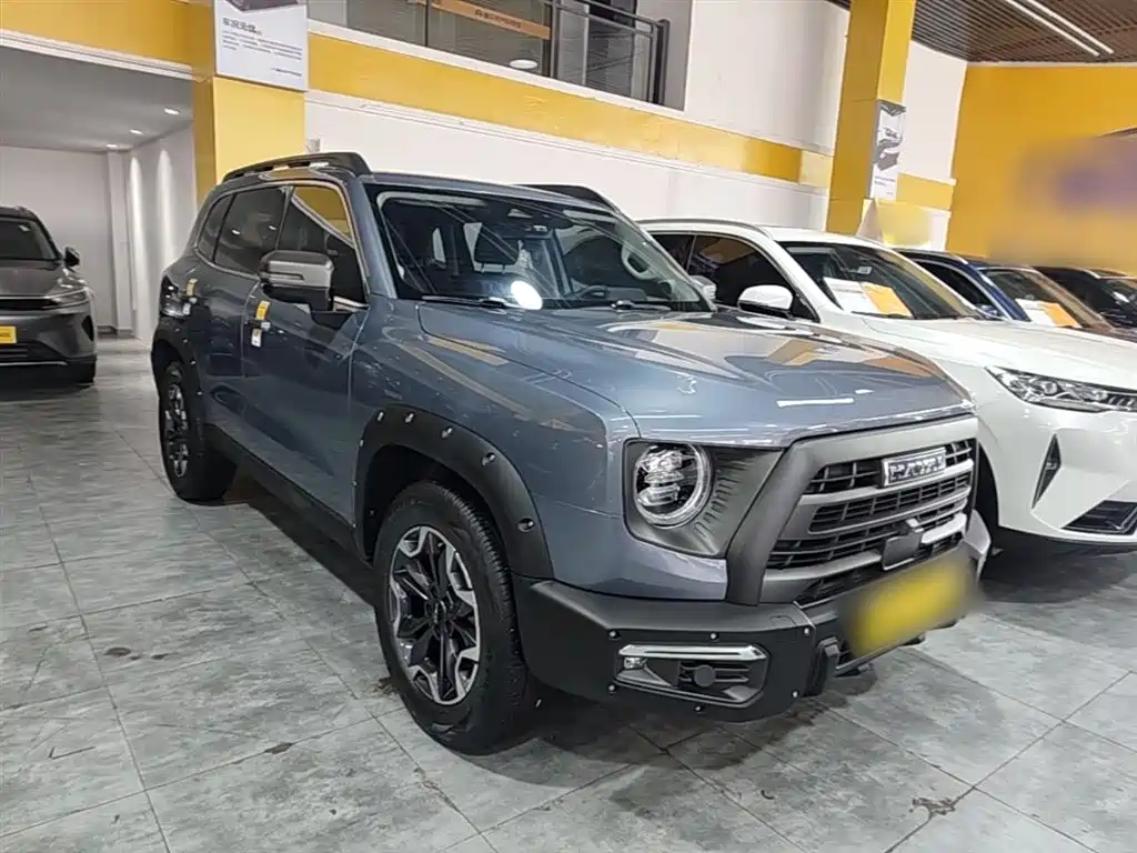 Haval Big Dog 2024 2.0T DCT Chinese Rural Dog Edition фото 4