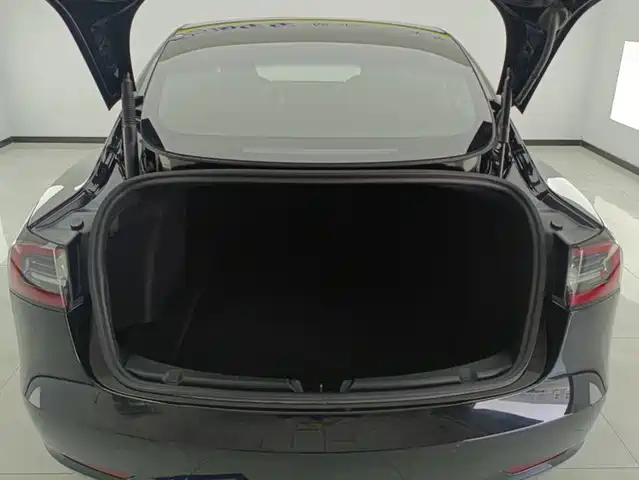 Tesla Model 3 2022 Model Rear-Wheel Drive Version — фото 4
