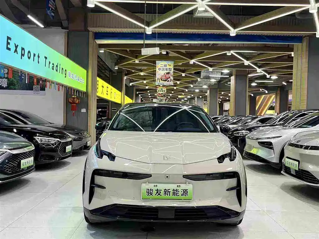 ZEEKR X 2023 2023 RWD YOU Edition 4-seater