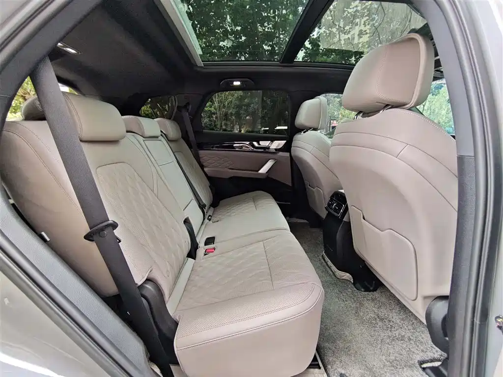 BYD Tang New Energy 2025 Smart Driving Edition DM-i 115KM Flagship фото 8