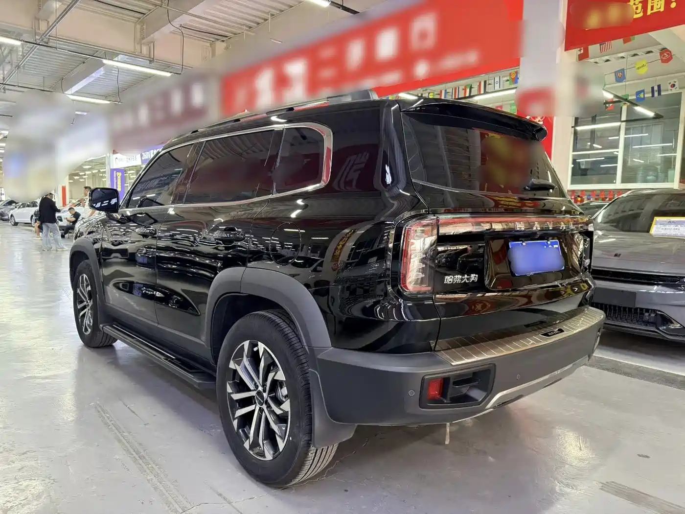 Haval Big Dog 2024 1.5T DCT Border Collie Edition фото 9