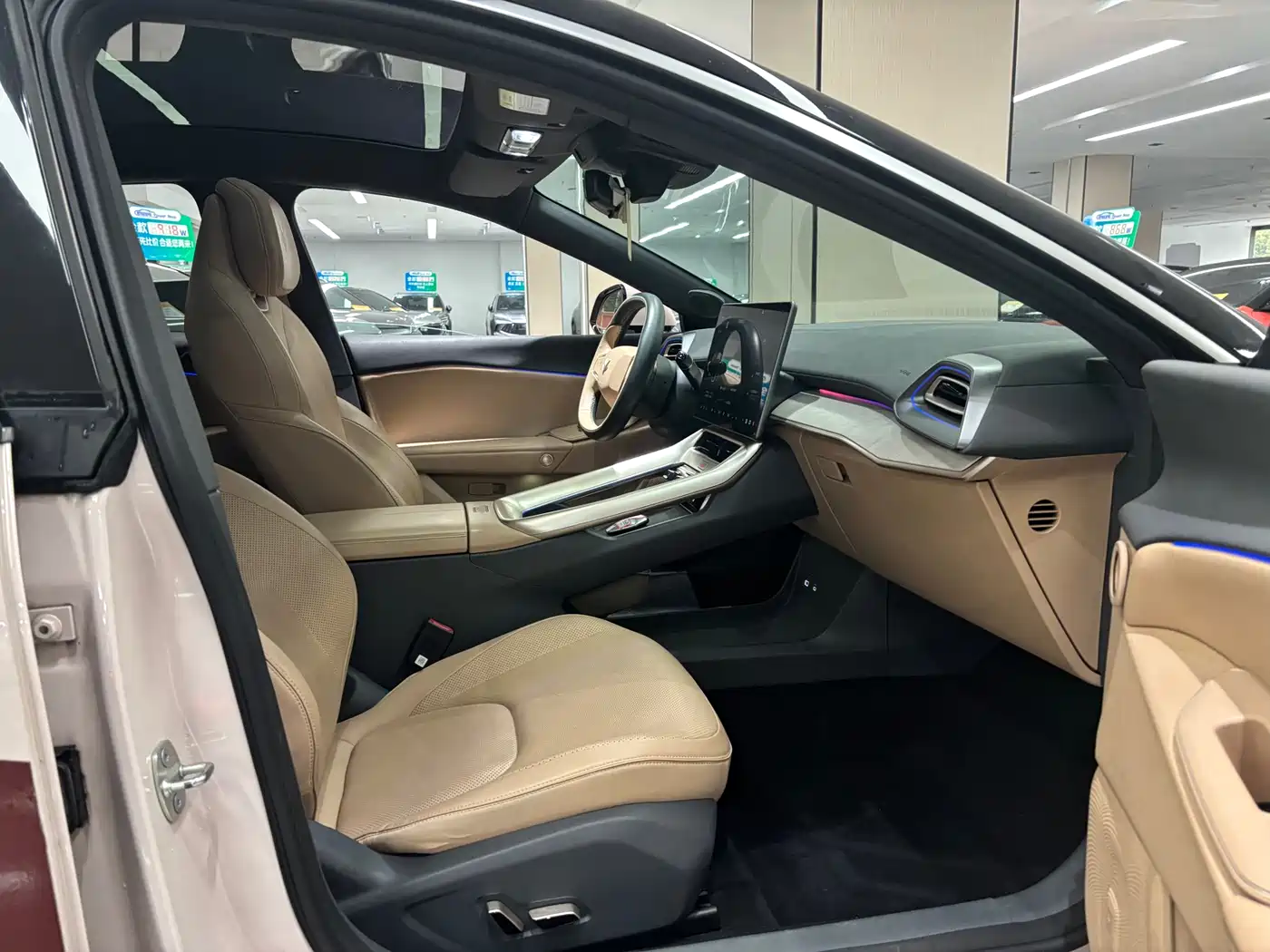 ARCFOX EXTREME FOX POLAR FOX ALPHA S5