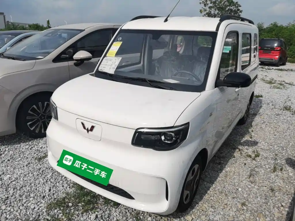 Wuling Motors Wuling Zhiguang NEV 2026 2025 Model 305km Base Version