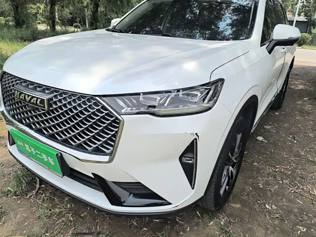 Haval H6 2021 3rd Gen 1.5T Auto 2WD Pro фото 23