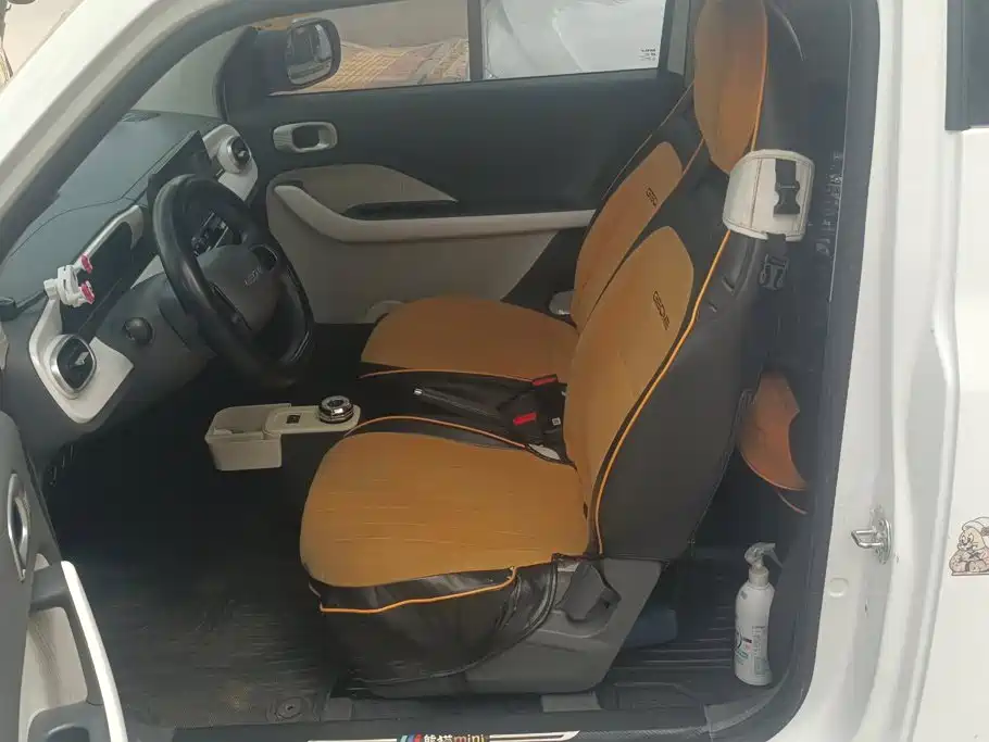 Geely Galaxy Panda 2025 2025 Panda mini 210km Vitality Bear