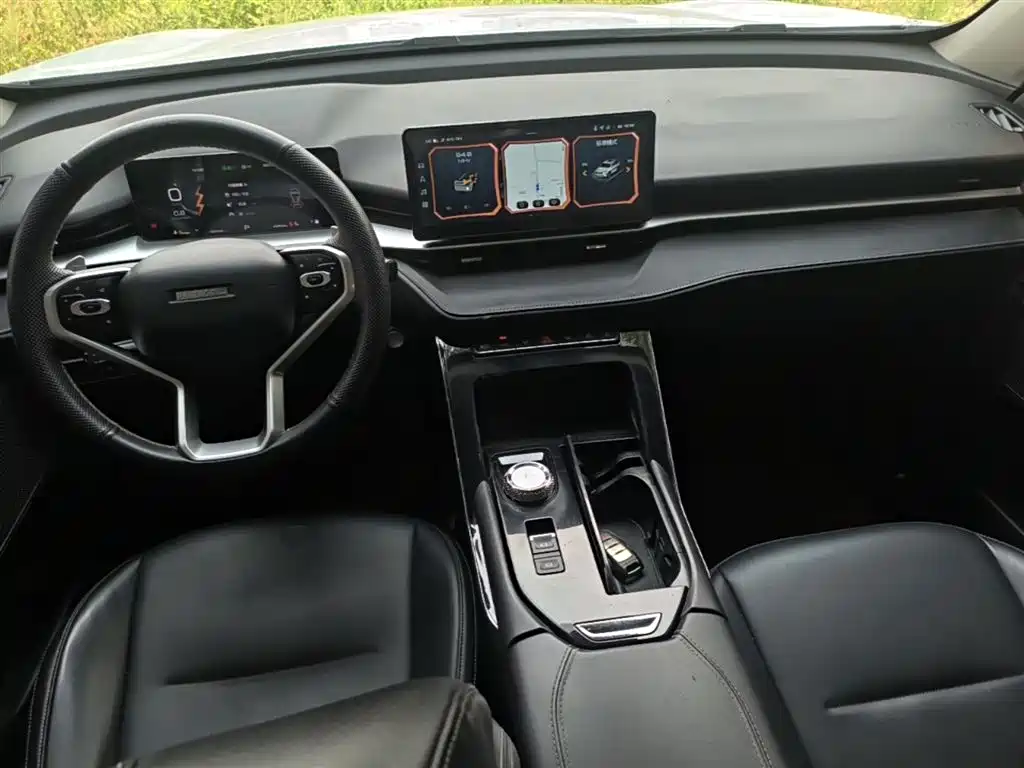 Haval H6 2021 3rd Gen 1.5T Auto 2WD Pro фото 10