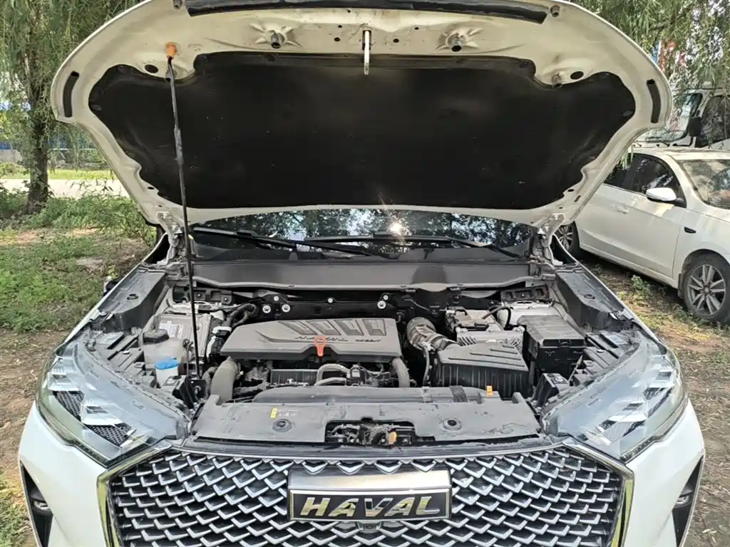 Haval H6 2021 3rd Gen 1.5T Auto 2WD Pro фото 19