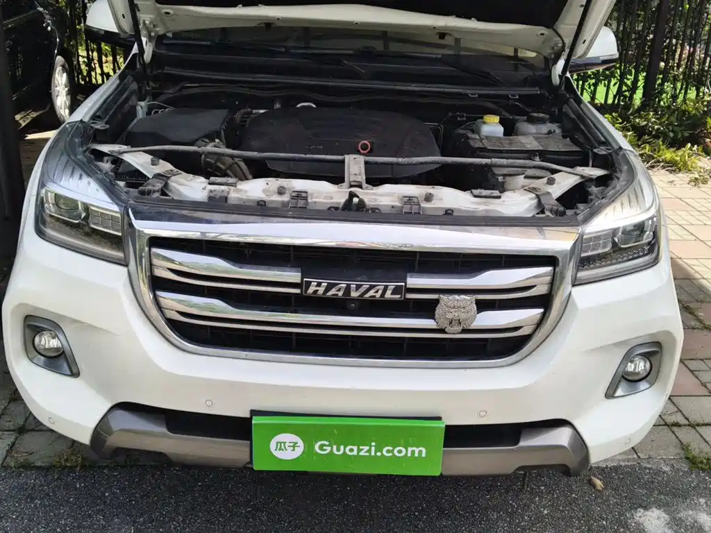 Haval H9 2020 2.0T Gasoline 4WD Premium 5-Seater фото 17