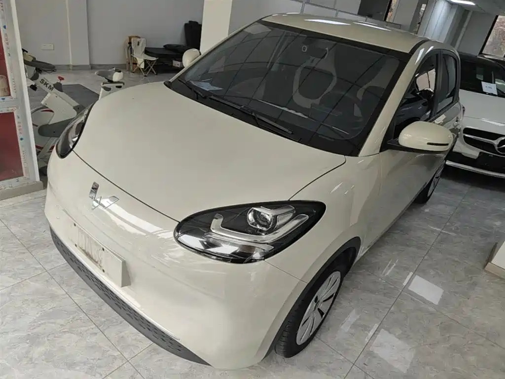 Wuling Motors Wuling Bingo 2023 Model 203km Lite Enjoyment Edition