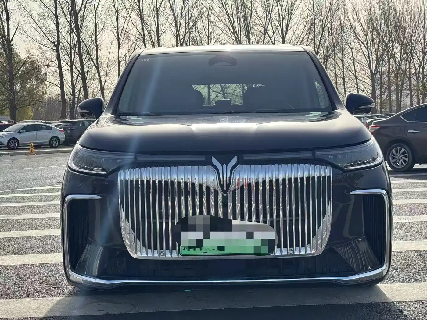 Voyah Auto Voyah Dreamer 2025 PHEV AWD Flagship Kunpeng Edition фото 3