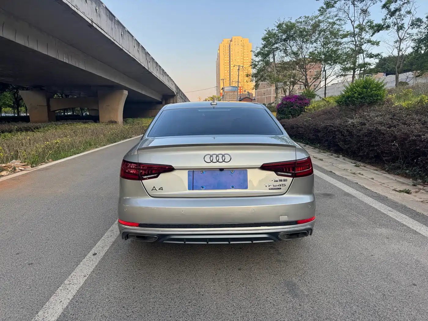 Audi A4L 2019 45 TFSI quattro Personality Sport (China V) фото 8